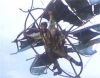 i_jan6-kalen07_2.jpg